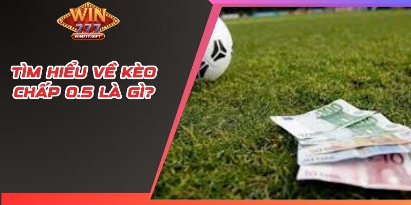 Tìm hiểu đôi nét về hình thức cược kèo chấp 0.5 trái
